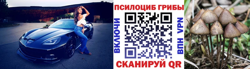 Псилоцибиновые грибы мицелий  как найти наркотики  Георгиевск 